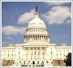 Capitol Hill Petitions